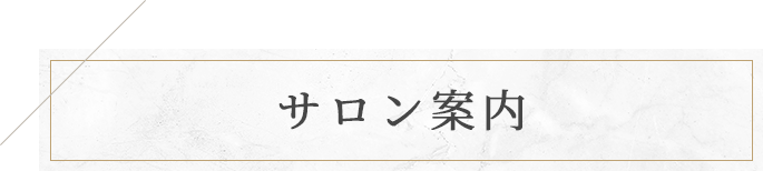 サロン案内